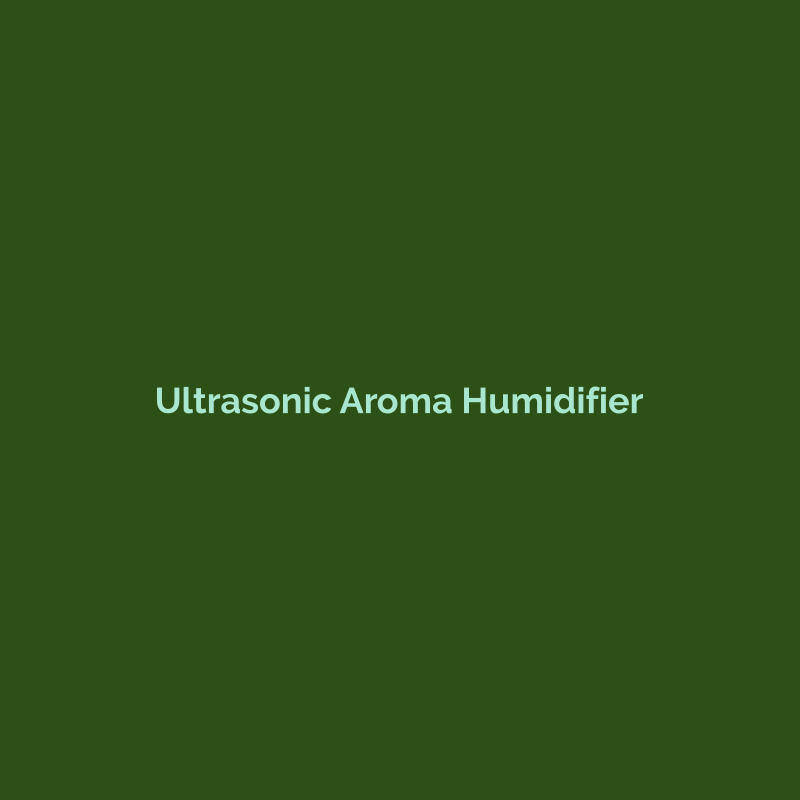 Ultrasonic Aroma Humidifier - Enai Global Trading