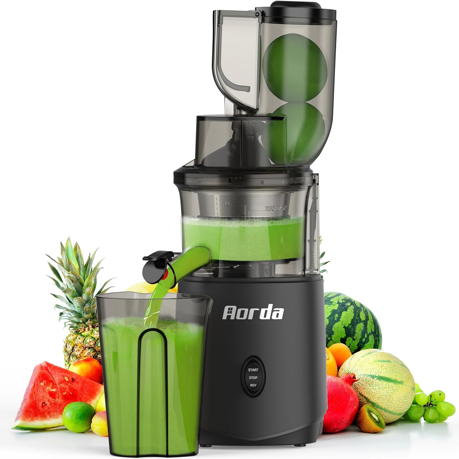 Cold Press Juicer Slow Masticating